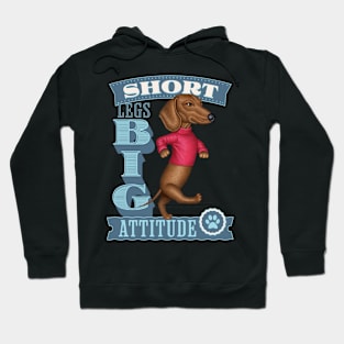 Short Legs Big Attitude Hoodie